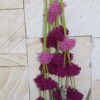 Tlacoyales Pompones Tonos Rosa