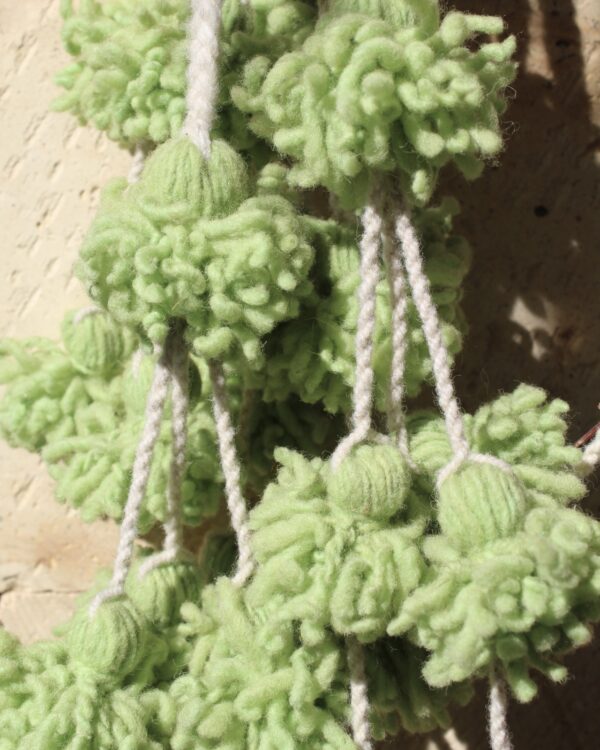 Tlacoyales Pompones Pistache - Image 3