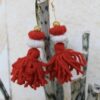 Aretes Bolitas - Image 4